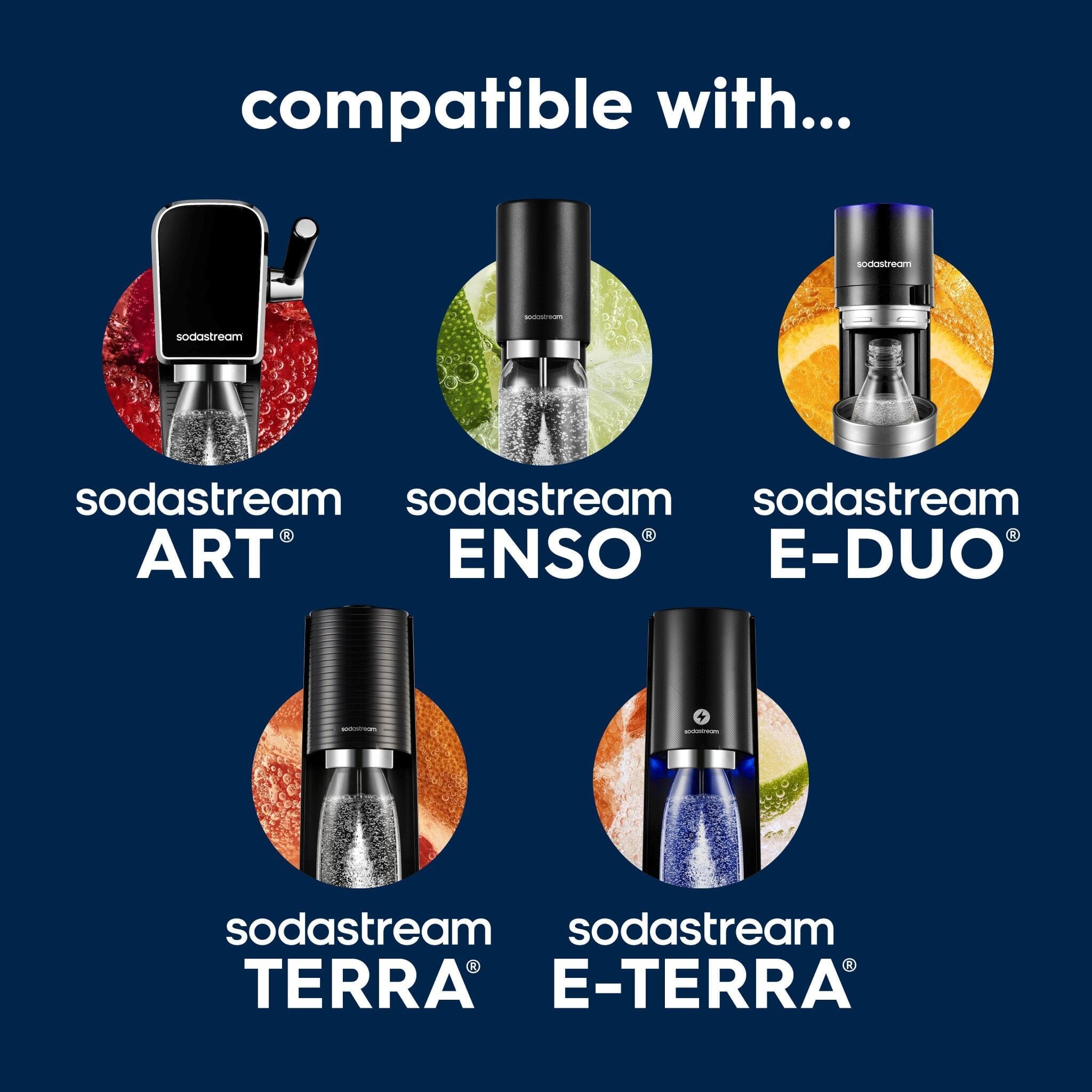 Sodastream Fizz & Go? Insulated Stainless Steel Bottle Special Edition Earth Day 30.4 oz - Image 3